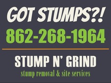Avatar for Stump N' Grind LLC