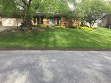 Patterson's Lawn Care & Landscapes logo