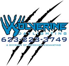 Wolverine Daylighting, LLC logo