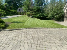 Logo for Baby Seeds Lawn Care
