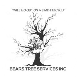 Bears Tree Services, Inc. logo