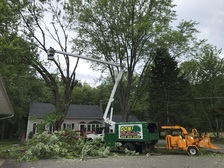 Avatar for McConnell Construction and Tree Service