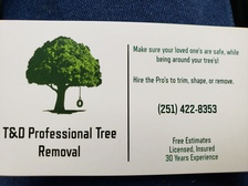 Logo for T&D Professional Tree Removal