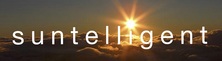 Project Solar Home, Inc. logo