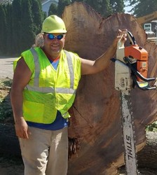 Jorge's Tree Service logo