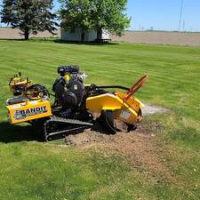 Logo for Stubb's Stump Grinding