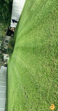 Tropiscape Landscaping Services logo