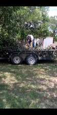 Mike and Son's Tree Service logo