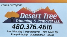 Desert Tree Trimming and Removal, LLC logo