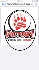 Avatar for Victory Wildlife Pest Control