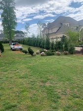 Logo for Layla's Landscaping