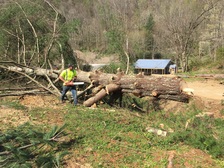 Avatar for Martin's Tree Removal & Landscaping