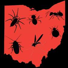 Avatar for Ohio Extermination