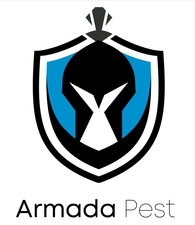 Armada logo