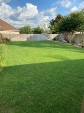 Doctor Green Thumb Lawn and Home Care logo
