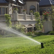 Logo for Sprinklers & More