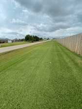 Taylor Made Lawn Care logo