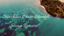 Logo for Sunshine State Stumps, LLC