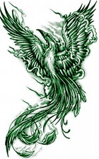 Avatar for Augurey Appliance and Home Services
