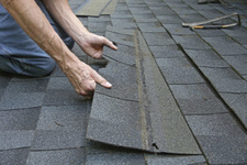 Dynasty Roofing logo