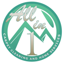 Avatar for All in One Carpet Cleaning and Home Services