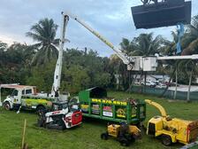 Avatar for Landscaping Solution and Tree Service of Broward