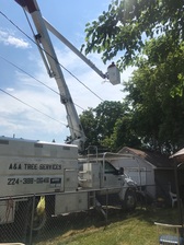 A&A Tree Services logo