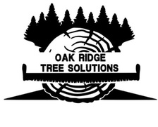 Logo for Oak Ridge Tree Solutions