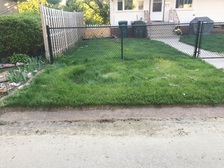Avatar for Moyer's Mowing and More