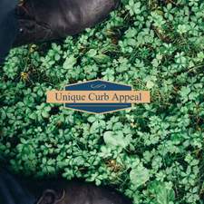 Unique Curb Appeal logo