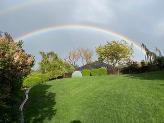 Forever Green Lawn Care Services logo