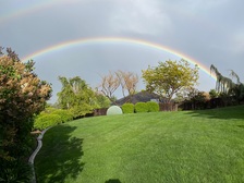 Avatar for Forever Green Lawn Care Services