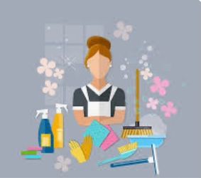 Professional House Cleaning Service, LLC logo
