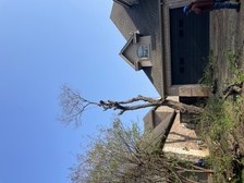 Avatar for Pablos Tree Service