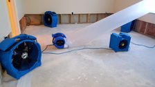 Avatar for Drain Wise Rooter And Mitigation, LLC