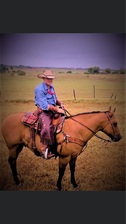 Avatar for Maverick Ranch Renovations