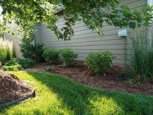 Avatar for P&A Mowing