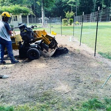 Logo for 2 Friendly Stump Grinding