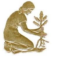 Avatar for Native Earth Landscaping