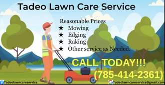 Tadeo Lawn Care Service logo