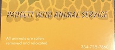 Avatar for Padgett Wild Animal Service - Acas Facebook