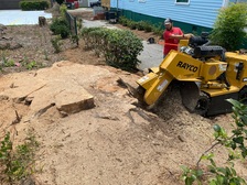 Logo for 109 Stump Grinding & Land Management