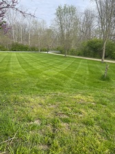 Avatar for Riddells Lawn Care & Landscapes, LLC