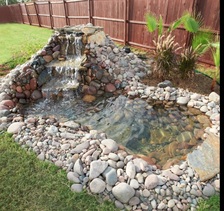 Texan Landscape Company logo