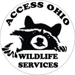 Access Ohio Home Inspections, LLC logo