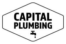 Avatar for Capital Plumbing, LLC
