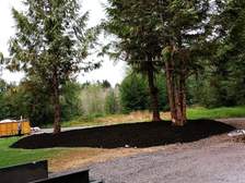 Green Pine Landscaping, LLC logo