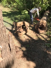 Logo for Darrin's Tree Care