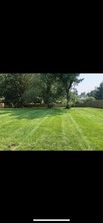 Logo for Clean Green lawns