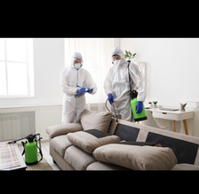 Avatar for Cleaning With Promise